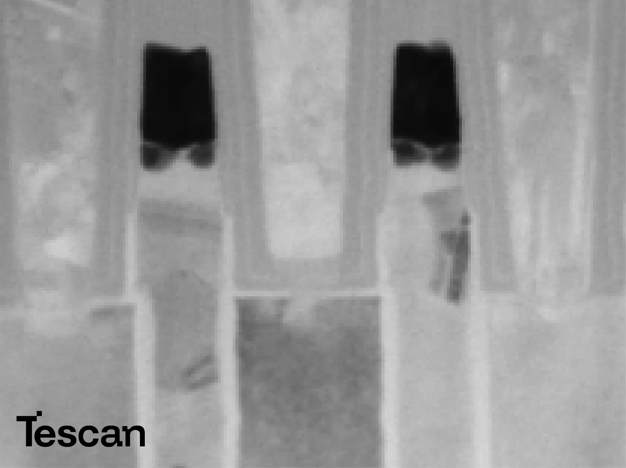 Tescan FIB-SEM for Life Science